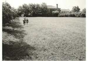 Il verde dietro il primo asilo di Fossò detto  da Ventura negli anni 60